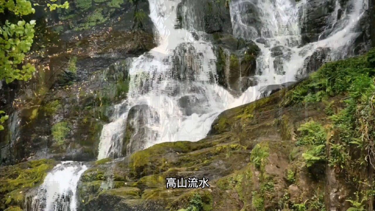 小猫钓鱼正版下载中文版